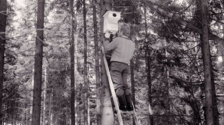 Jaromír Gebas při vyvěšování ptačích budek v Labském dole, rok 1975/1976, zdroj archiv pamětníka.