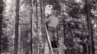 Jaromír Gebas při vyvěšování ptačích budek v Labském dole, rok 1975/1976, zdroj archiv pamětníka.