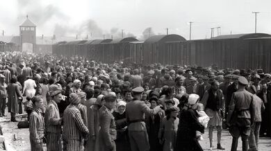 Selekci po příjezdu maďarských Židů do Osvětimi zachytili v květnu a červnu 1944 dva příslušníci SS. Soubor asi 200 fotografií z Osvětimi našla po válce vězenkyně Lili Jacobs v táboře Mittelbau-Dora, která je darovala muzeu Yad Vashem. Zdroj: Wikimedia Commons, Public Domain,
Bernhard Walter (Auschwitz Album) 