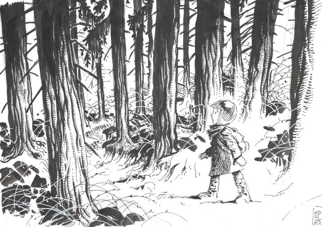 Příběh Jaromíry Končírové z komiksu Těžká rozhodnutí