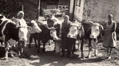 Kontrola z Ministerstva státní kontroly u Lamplotových, zleva sestra Antonína Lamplota Marie (*1933), sousedka Libuše Homolková, maminka Otýlie Lamplotová, 1953 (Archiv Antonína Lamplota) – z karty pamětníka Antonína Lamplota