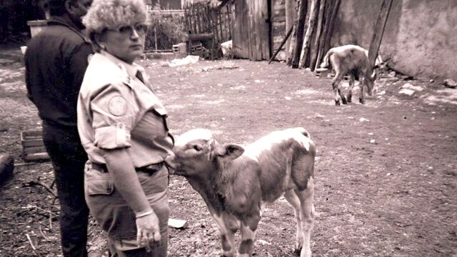 Na misi UNPROFOR v bývalé Jugoslávii