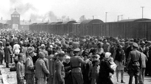 Selekce po příjezdu maďarských Židů do Osvětimi, v květnu či červnu 1944 ji zachytili dva příslušníci SS. Soubor asi 200 fotografií z Osvětimi našla po válce vězenkyně Lili Jacobs v táboře Mittelbau-Dora a darovala je muzeu Yad Vashem. Zdroj: Wikimedia Commons