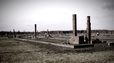 Osvětimi-Birkenau