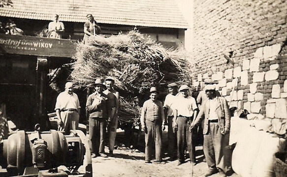 Svoz dobytka ze soukromého statku v Dolní Dobrouči do kravína v JZD asi v roce 1960. Foto Petr Špindler