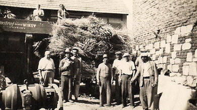 Svoz dobytka ze soukromého statku v Dolní Dobrouči do kravína v JZD asi v roce 1960. Foto Petr Špindler