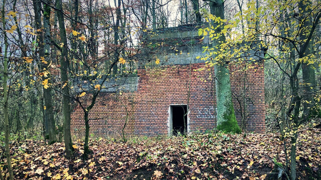 Torzo jedné z nadzemních staveb v lese u Račic na Trotinou. Dle nákresu se jedná o kantýnu v táboře pro dělníky. Foto: Michaela Pechancová