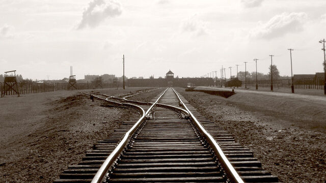 Auschwitz Birkenau. Zdroj: Paměť národa.